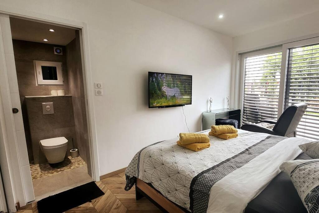 Suite Prestige Logement Neuf Avec Spa Et Ecran De Cinema En Rez De Jardin Colmar Bagian luar foto