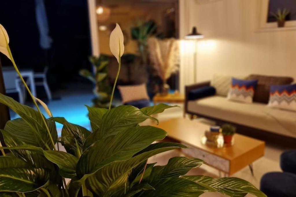 Suite Prestige Logement Neuf Avec Spa Et Ecran De Cinema En Rez De Jardin Colmar Bagian luar foto