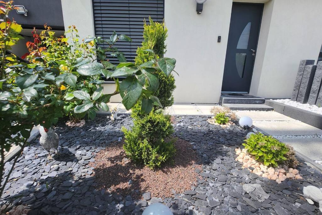 Suite Prestige Logement Neuf Avec Spa Et Ecran De Cinema En Rez De Jardin Colmar Bagian luar foto