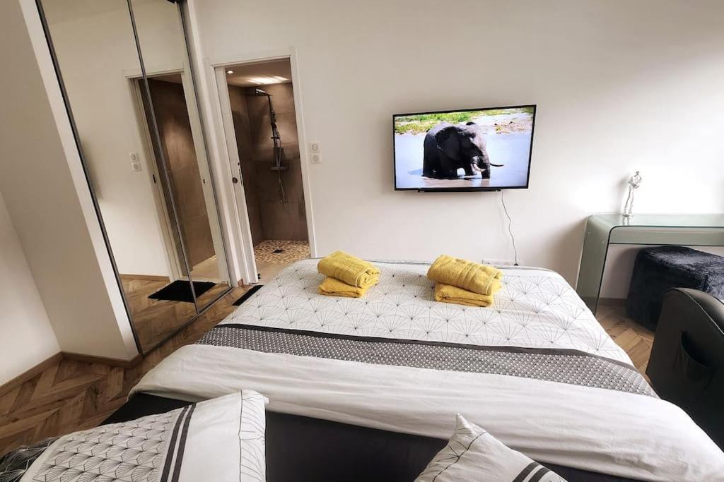 Suite Prestige Logement Neuf Avec Spa Et Ecran De Cinema En Rez De Jardin Colmar Bagian luar foto