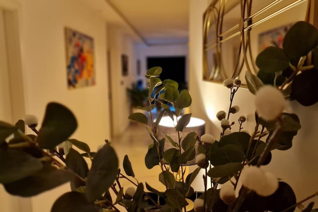 Suite Prestige Logement Neuf Avec Spa Et Ecran De Cinema En Rez De Jardin Colmar Bagian luar foto